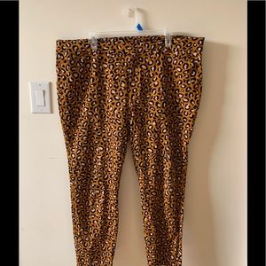 Leopard Pixie Pants